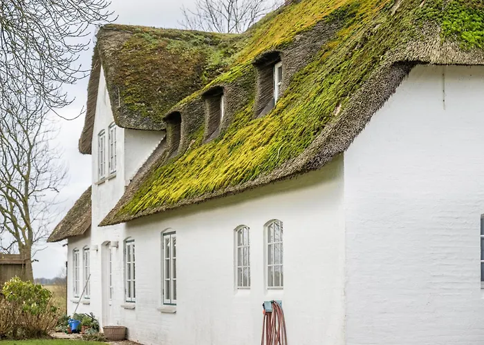 Reetdachhaus Vakantiehuis